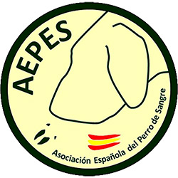 Somos socios de AEPES.