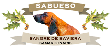 Criadores de Sabueso de Sangre de Baviera.